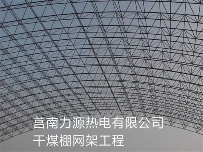 龙海力源热电有限公司干煤棚网架工程